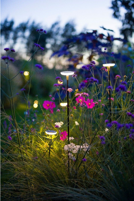 In-lite smart starterset grote tuin Sway – slimme 12V tuinverlichting
