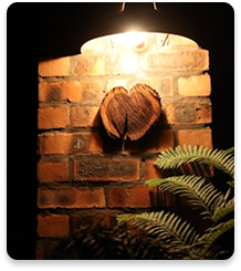 Outdoor lighting image 5